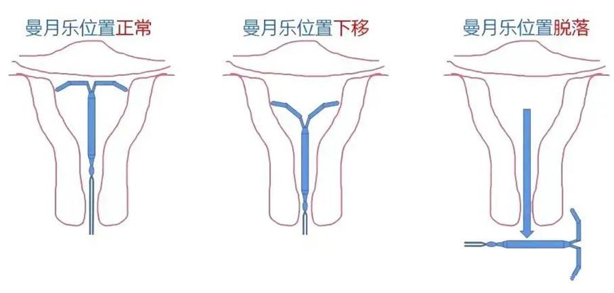 圖片2.jpg 圖片2.jpg